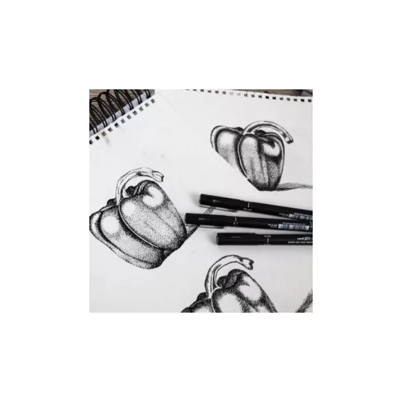 UNI PIN 12 darabos rajzmarker készlet (12db Fekete rajzmarker: 0,03; 0,05; 0,1; 0,2; 0,3; 0,4; 0,5; 0,5; 0,6; 0,7; 0,8, ecset)