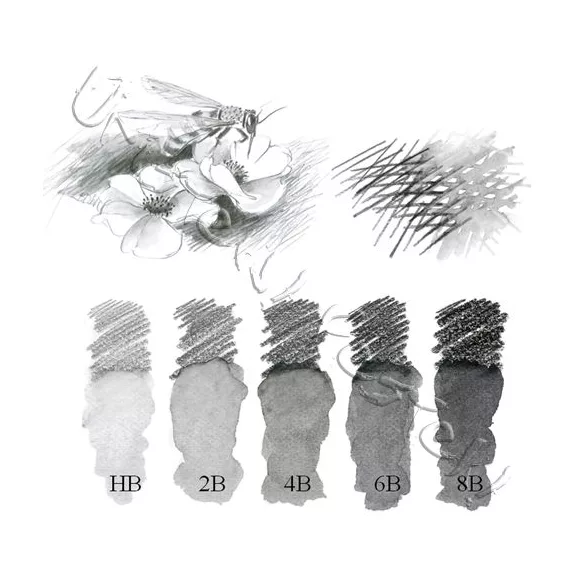 Graphite Pencils - Derwent Artist pencils