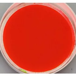 Por pigment Master 50g – 104 Fluorescent Red FV