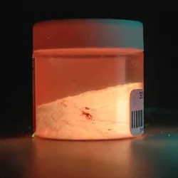 Glow pigment mester 50g – 306 vörös