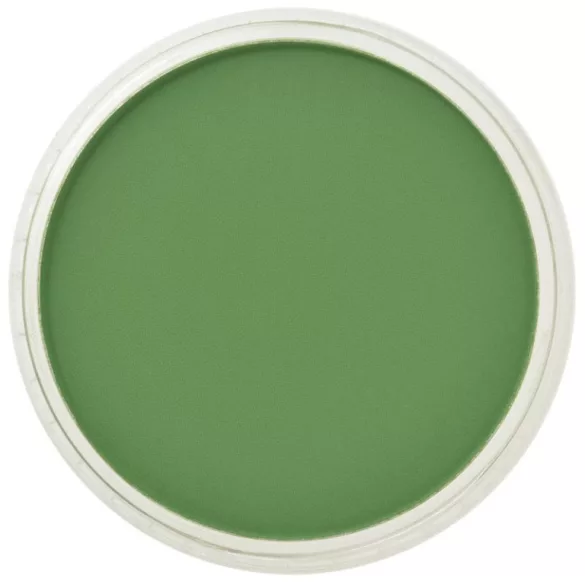PanPastel 9ml – 660.5 Krómoxid zöld