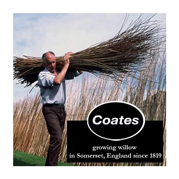 Coates Willow Charcoal Set of 30 pc Short Mixture Charcoal Stick, Black