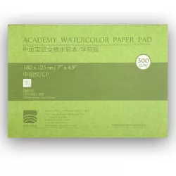 Pastel Pad Fabriano Tiziano Nero - BLACK