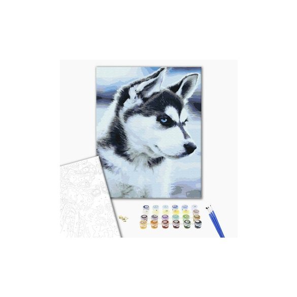 Számozott kifestő készlet vászonra 40x50 cm - Akrilfestékkel, ecsetekkel, felnőtteknek - Husky kutya kölyök