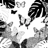 Színezőkönyv, Felnőtt szinező - Clairefontaine Colouring Book, 36 Pages, 120g, 20x20cm - Butterfly