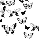 Színezőkönyv, Felnőtt szinező - Clairefontaine Colouring Book, 36 Pages, 120g, 20x20cm - Butterfly