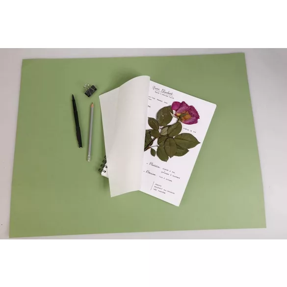 Itatóskönyv, írható, rajzolható, festhető - Növények nyomtatásához, Herbárium - 180 gr/m2 - A4