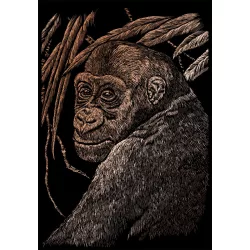   Képkarcoló készlet karctűvel - 20x25 cm - Réz - Csimpánz