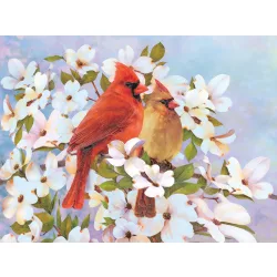 Számozott színező készlet, 20x25cm - Vörösbegyek