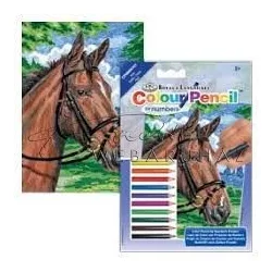 Számozott színező készlet, mini - Ló - Lovas színező