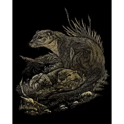   Képkarcoló készlet karctűvel - 20x25 cm - Arany - Vidrák