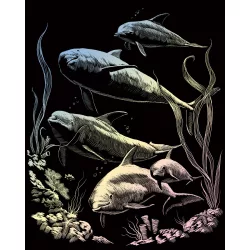   Képkarcoló készlet karctűvel - 20x25 cm - Holografikus - Delfin raj