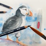 Derwent Watercolour Pencils, Painting & Drawing, Set of 12pcs