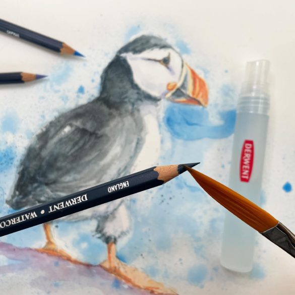 Derwent Watercolour Pencils, Painting & Drawing, Set of 12pcs