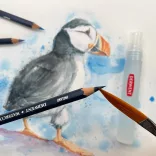 Derwent Watercolour Pencils, Painting & Drawing, Set of 36pcs