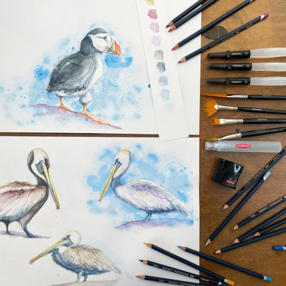 Derwent Watercolour Pencils, Painting & Drawing, Set of 36pcs