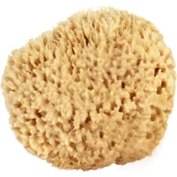 Medit Honeycomb MEDIUM Sea Sponge - 1pc