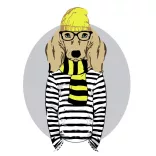 Painting by numbers - Rósa Start painting by numbers 35x45 - Stylish Dog