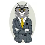 Painting by numbers - Rósa Start painting by numbers 35x45 - Fashion Cat