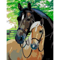   Painting by numbers - Rósa Start painting by numbers 35x45 - Horses