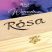 Watercolour Paint Set -  Rosa Gallery Classic Watercolour Tube Set in Woodenbox 14 x 10 ml