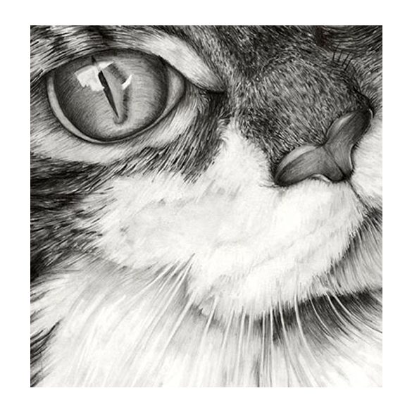 CANSON INGRES Drawing Paper