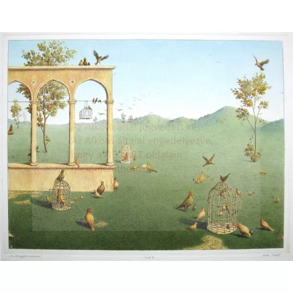 CANSON Edition nyomópapír, művészpapír nyomatokhoz, 100% pamut, 250 gramm, 56x76 cm - Antik fehér