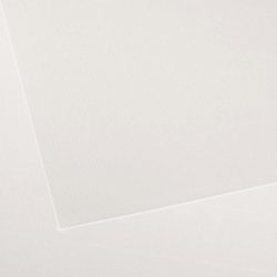   CANSON Vidalon Acid-free Ingres Paper, 100 g/m2, 50x65cm, in Sheets - White 01