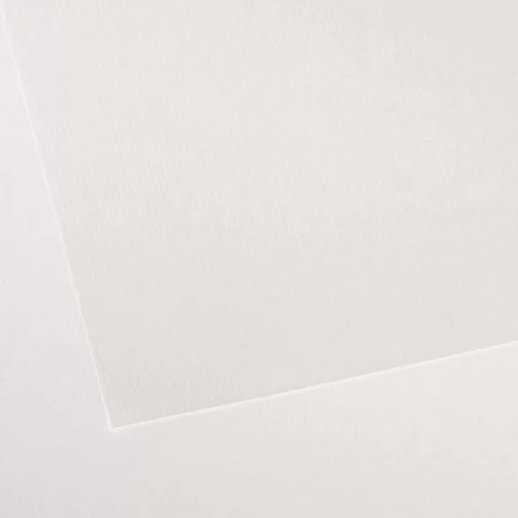 CANSON Vidalon Acid-free Ingres Paper, 100 g/m2, 50x65cm, in Sheets - White 01
