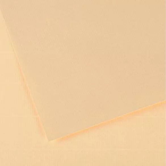 CANSON Vidalon Acid-free Ingres Paper, 100 g/m2, 50x65cm, in Sheets - Cream 48