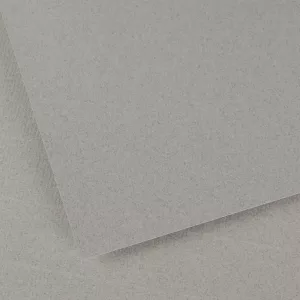 CANSON Vidalon Acid-free Ingres Paper, 100 g/m2, 50x65cm, in Sheets - Sky grey 39