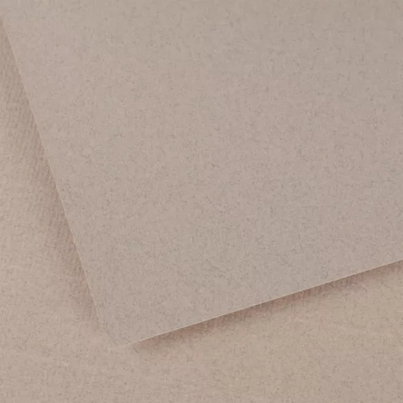 CANSON Vidalon Acid-free Ingres Paper, 100 g/m2, 50x65cm, in Sheets - Moon Stone 52