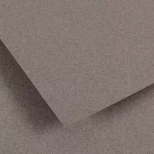 CANSON Vidalon Acid-free Ingres Paper, 100 g/m2, 50x65cm, in Sheets - Steel Grey 55