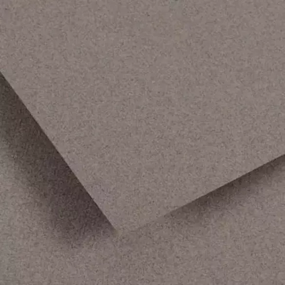 CANSON Vidalon Acid-free Ingres Paper, 100 g/m2, 50x65cm, in Sheets - Steel Grey 55