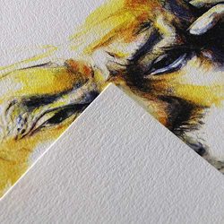   C á grain savmentes, természetes fehér rajzpapír, finom szemcsés felülettel, ívben 224g/m2 A4