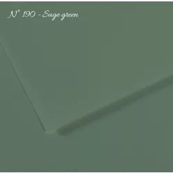  Pasztell- és dekorkarton - Canson Mi-Teintes Art Paper for Drawing and Painting, 160g, A4 - 190 Sage green