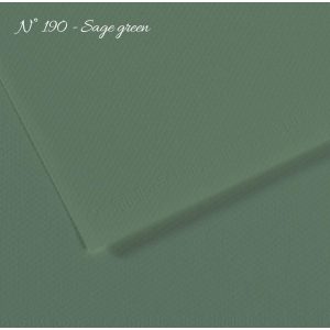 Pasztell- és dekorkarton - Canson Mi-Teintes Art Paper for Drawing and Painting, 160g, A4 - 190 Sage green