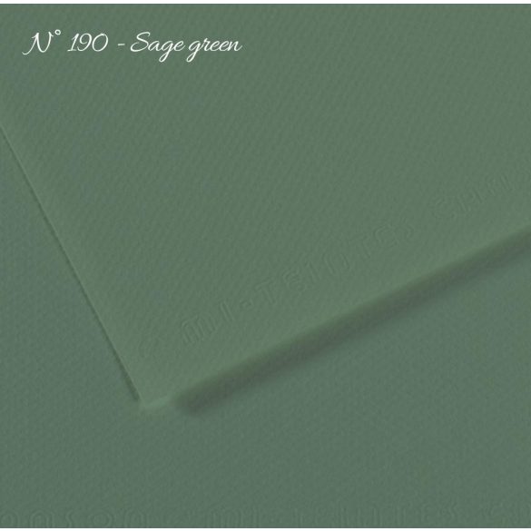 Pasztell- és dekorkarton - Canson Mi-Teintes Art Paper for Drawing and Painting, 160g, 50x65cm - 190 Sage green