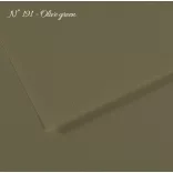 Pasztell- és dekorkarton - Canson Mi-Teintes Art Paper for Drawing and Painting, 160g, A3 - 191 Olive green