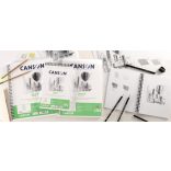 Canson Dessin 1557 Drawing Paper Roll - 180g 0.75x10m