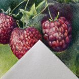 Sketch Book - Canson Graduate Drawing - 30 sheets, 160gr