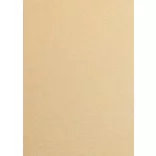 Metálfényű papír - Klasszikus arany pezsgő színű papír 120gr, Kétoldalas - Gold Champagne