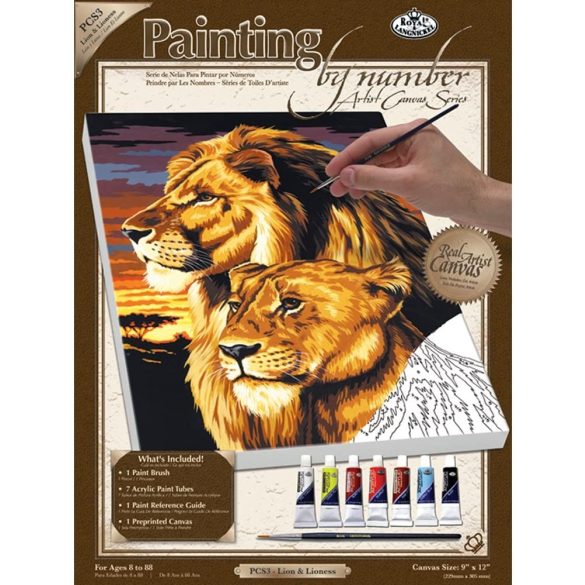 Royal & Langnickel Painting by number PCS3