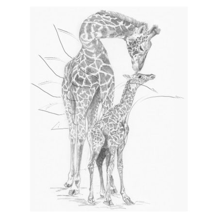 Rajzkészlet előrenyomott vázlattal - Sketching Made Easy A/4 - Giraffe & Baby