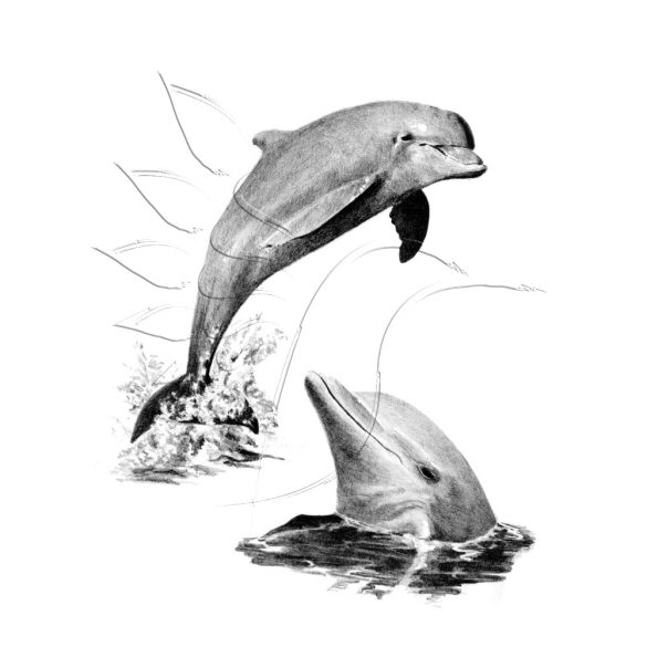 Rajzkészlet előrenyomott vázlattal - Sketching Made Easy A/4 - Dolphins