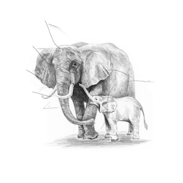 Rajzkészlet előrenyomott vázlattal - Sketching Made Easy Mini A/5 - Elephant