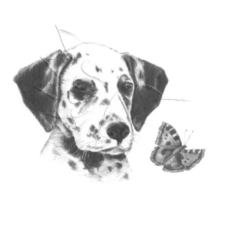 Rajzkészlet előrenyomott vázlattal - Sketching Made Easy Mini A/5 - Dalmatian Pup