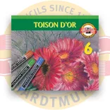 Soft Pastel Set - Koh-I-Noor Toison D'Or - Soft Pastels 6