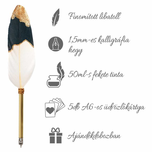 Calligraphy set - Online Calligraphy Feather Dip Pen Set