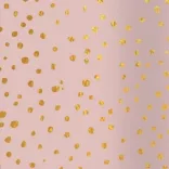 Bullet Journal Spotlights Rose A5